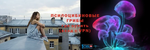 spice Киреевск