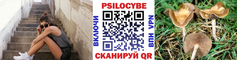 Купить где  Большой Камень  Галлюциногенные грибы ЛСД 
